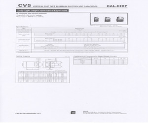 CV5-1V221MG10-R.pdf