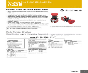 A22Z-EG21.pdf