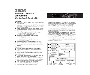 IBM25403GCX-3BC66C2.pdf