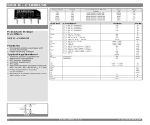 SKBB40C1000L5B.pdf