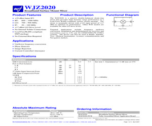 WJZ2020.pdf