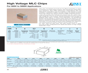 3640KC221KA11A.pdf