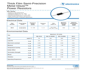 GS-31001430FLFSLT.pdf