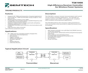 TS81000-QFNR.pdf