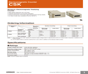 CSK6-Y AC100.pdf