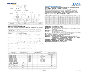 R75PF1100JM0-M.pdf