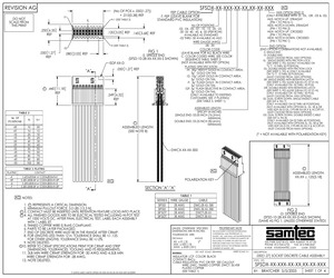 SFSD-10-28-G-15.00-SL.pdf