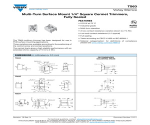 TS63Y-100-10-D06.pdf