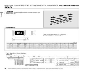 RVC16K1053GB.pdf