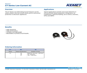 CT-06-100.pdf