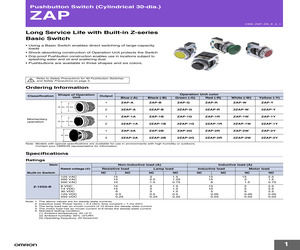 2ZAP-B.pdf