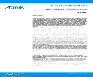 ATSAMR21G18A-MUT.pdf