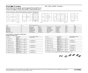 PC44ER14.5/6-Z.pdf