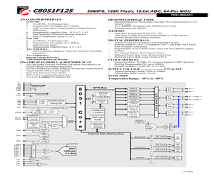 C8051F125.pdf