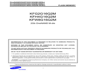 KFW8G16Q2M-DEB8S.pdf