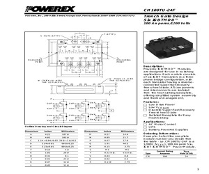 CM100TU-24F.pdf