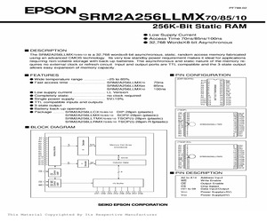 SRM2A256LLTMX10.pdf