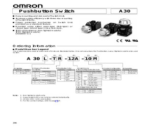 A22L-01M-T1.pdf