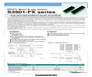 S3901-256FX.pdf