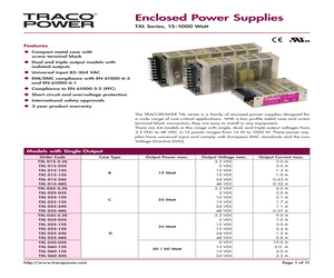 TXL100-12S.pdf