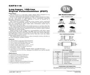 CAT5116ZI.pdf