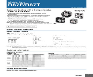 R87F-FL80.pdf