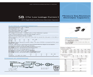 SB16M100BPS-1012.pdf