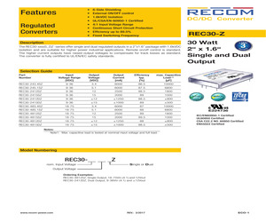 REC30-4812SZ.pdf