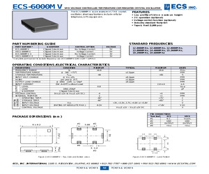 VECS-6000MV-120.pdf