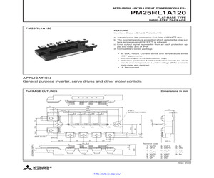 PM25RL1A120.pdf