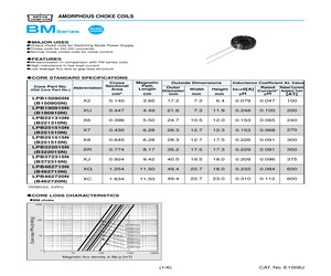 LBBM010750X8-H0E.pdf