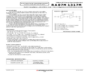 RA07M1317M-101.pdf