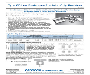 CD2520FC-0.075-1%.pdf