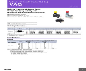 2VAQ-4B.pdf