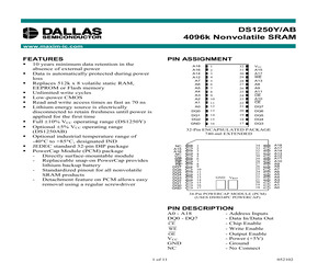 DS1250WP-100IND.pdf