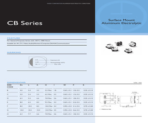 CB016M0010RSB-0405.pdf