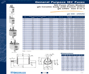 NH2GG69V125P-2.pdf