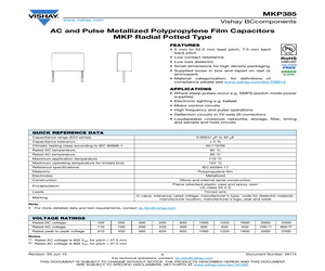 MKP385556100JYP2T0.pdf