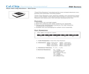 RM06F2104CT-LF.pdf