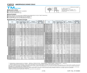 TM02621NPE.pdf