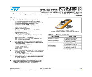 STM3210E-PRIMER.pdf