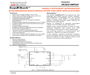 IRDC3831.pdf