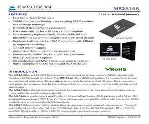 MR2A16AVYS35R.pdf