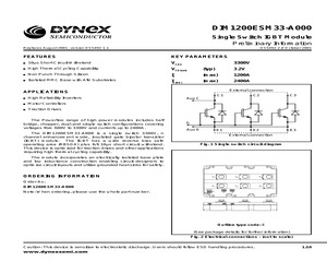 DIM1200ESM33-A000.pdf