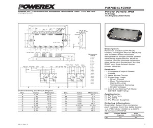 PM75B4L1C060.pdf