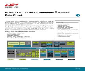 BGM111A256V1-BLK.pdf