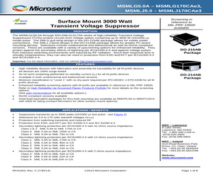 MASMLJ170AE3.pdf