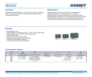 FM0H104ZF-L1.pdf