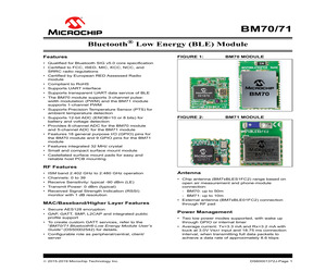 BM70BLE01FC2-0B04AA.pdf