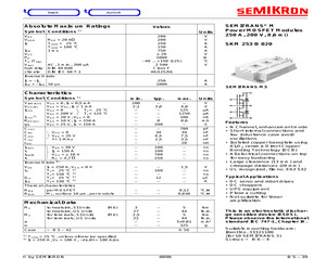 SKM253B020.pdf